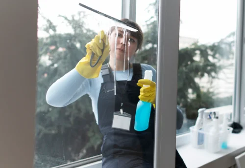 Nettoyage de vitres intérieures et extérieures à Prissé